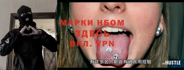 индика Володарск