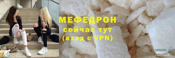 индика Володарск