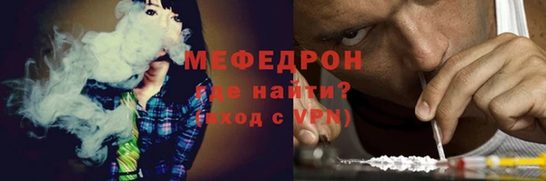 стаф Верея