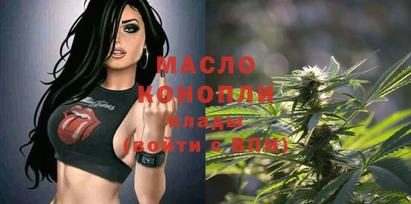 индика Володарск