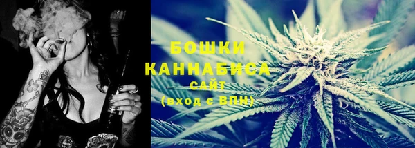 индика Володарск