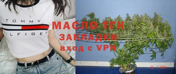 индика Володарск